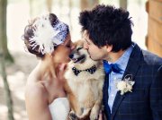 Свадебные фото с животными – тренд 2016 года