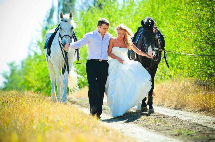 Романтическая прогулка с лошадьми