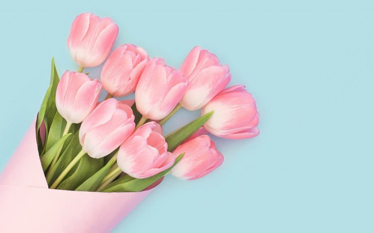 Тюльпаны на розовую свадьбу