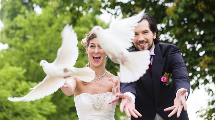 Запуск голубей на свадьбе