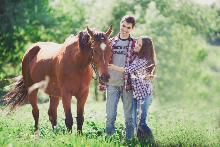 Love story с лошадями