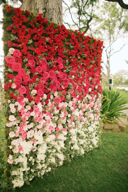 Стена из живых цветов на свадьбу