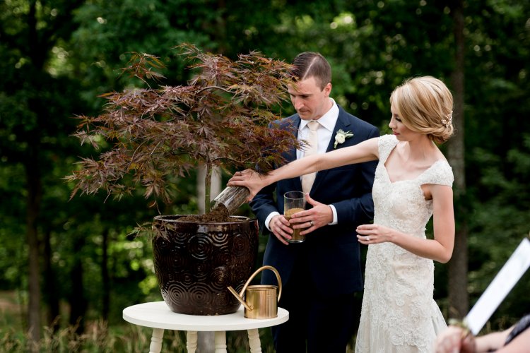 Посадка дерева на свадьбе
