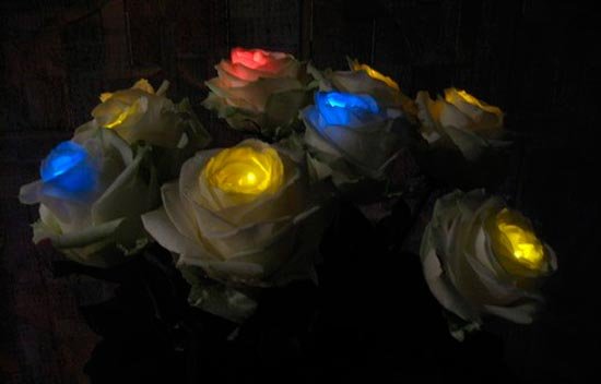 Розы с цветными лампочками