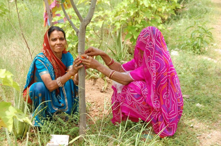 Свадьба с деревом в Индии