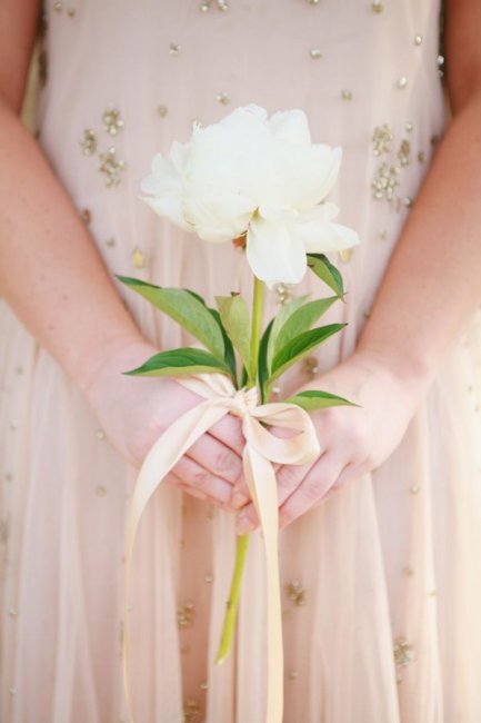 Один цветок вместо букета невесты
