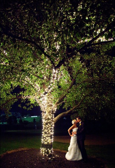 Подсветка деревьев на свадьбе