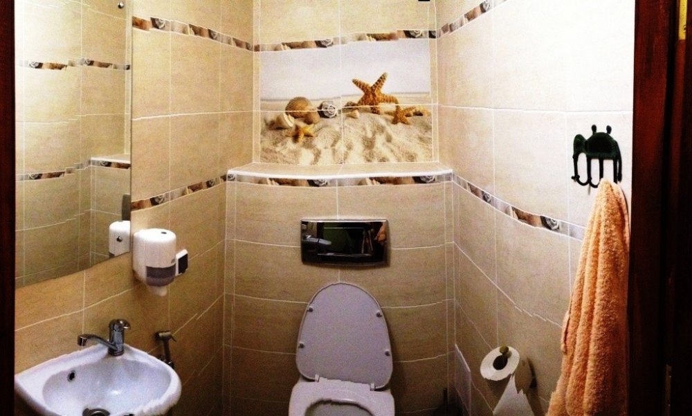 туалет_панорама