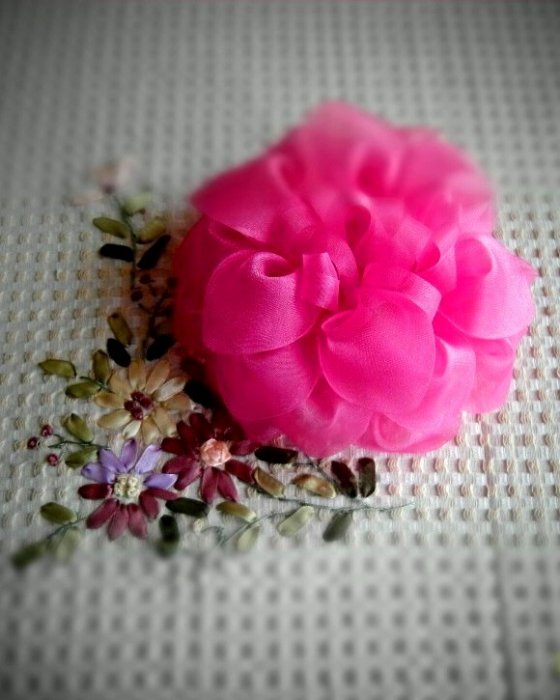 Лилия моноцвет (розовый)